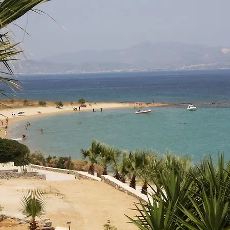 Paros Blue Dolphin