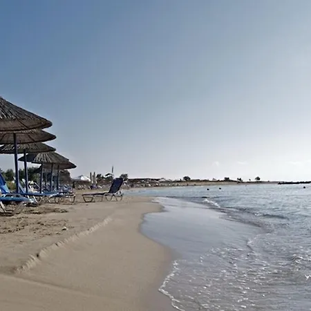 Hotel Paros Blue Dolphin Chrisi Akti (Paros)