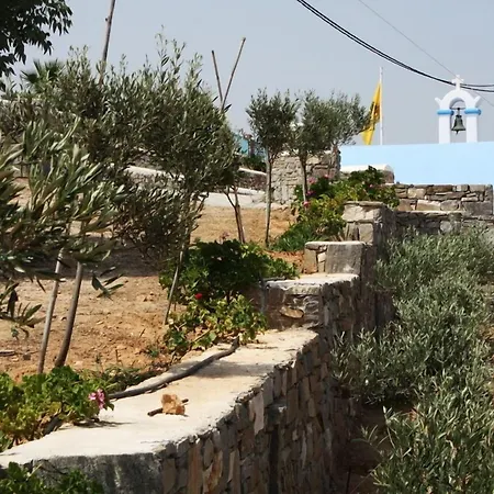 Paros Blue Dolphin Hotel Chrisi Akti (Paros)