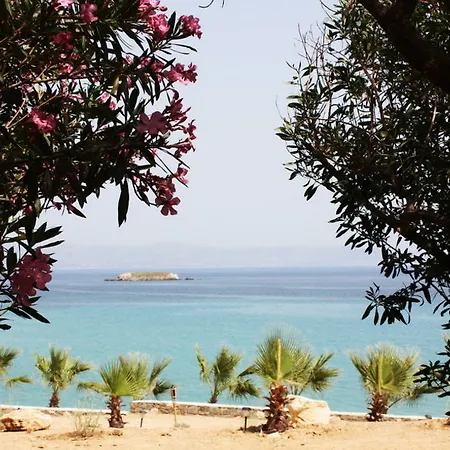 Paros Blue Dolphin Hotel Chrisi Akti (Paros)